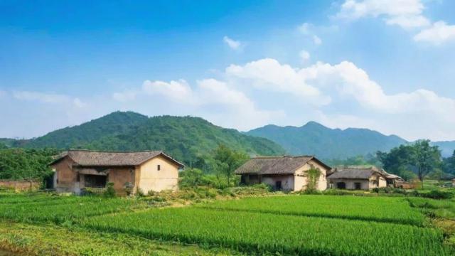 农村宅基地确权全流程解析：从申请到权益保障一步到位