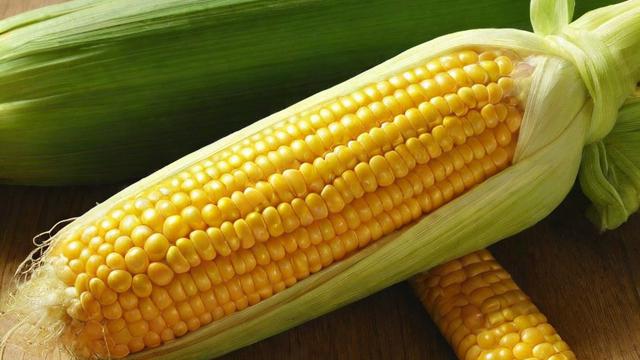 玉米要蒸多久才能熟透且口感最佳?详细攻略告诉你答案 第3张 玉米要蒸多久才能熟透且口感最佳?详细攻略告诉你答案 第3张