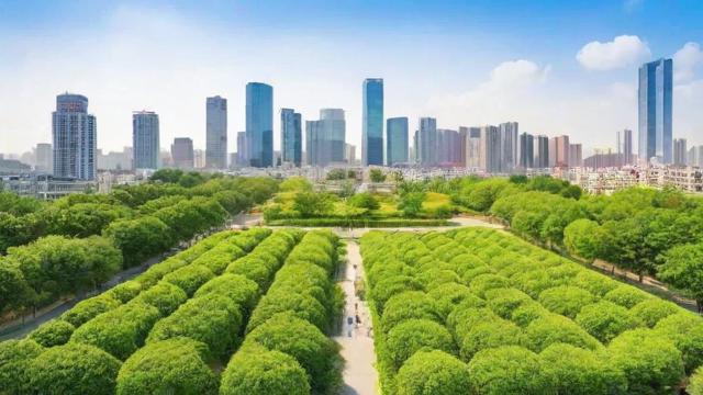 提升城市绿化覆盖率的重要性及实现方法