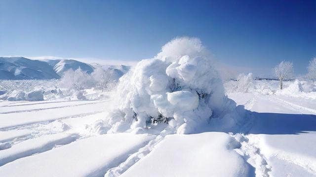 2008年雪灾的影响及应对措施全面解析