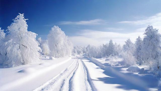 2008年雪灾的影响及应对措施全面解析 第2张 2008年雪灾的影响及应对措施全面解析 第2张