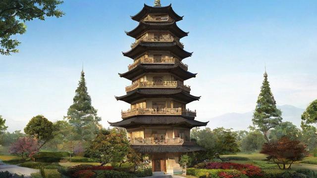九层塔图片大全：从基本特征到烹饪与园艺应用的全面解析