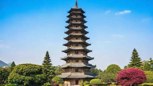 九层塔图片大全:从基本特征到烹饪与园艺应用的全面解析 第2张 九层塔图片大全:从基本特征到烹饪与园艺应用的全面解析 第2张