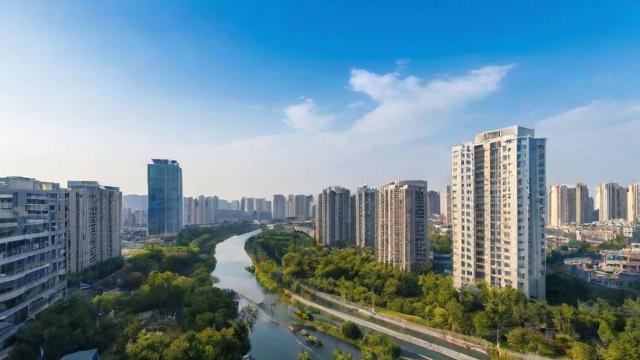 2023年金山区房价走势分析：投资与居住的双重价值