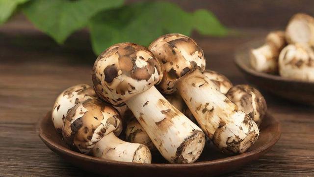 松茸多少钱一公斤?全面解析松茸价格与选购技巧 第2张 松茸多少钱一公斤?全面解析松茸价格与选购技巧 第2张