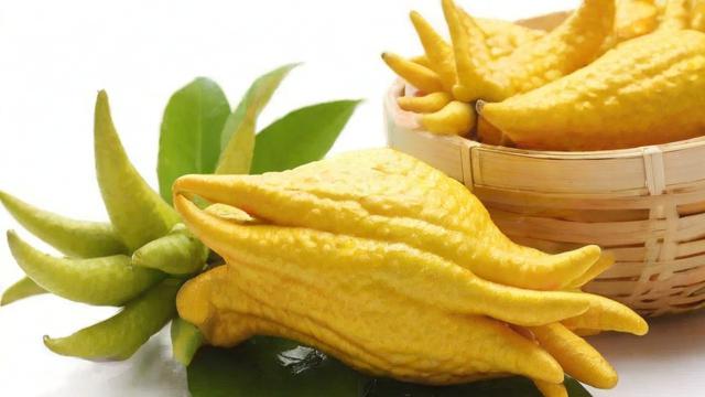 佛手怎么吃:全面解析佛手的食用方法与健康功效 第3张 佛手怎么吃:全面解析佛手的食用方法与健康功效 第3张