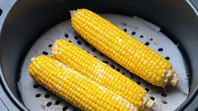 空气炸锅烤玉米技巧大全:简单易学,健康美味一步到位 第2张 空气炸锅烤玉米技巧大全:简单易学,健康美味一步到位 第2张