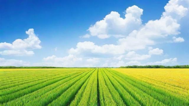 一亩地多少米：全面解析换算方法与实际应用技巧