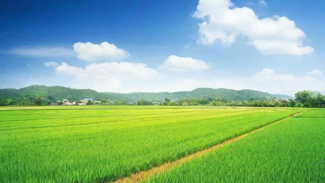 一亩地多少米:全面解析换算方法与实际应用技巧 第2张 一亩地多少米:全面解析换算方法与实际应用技巧 第2张
