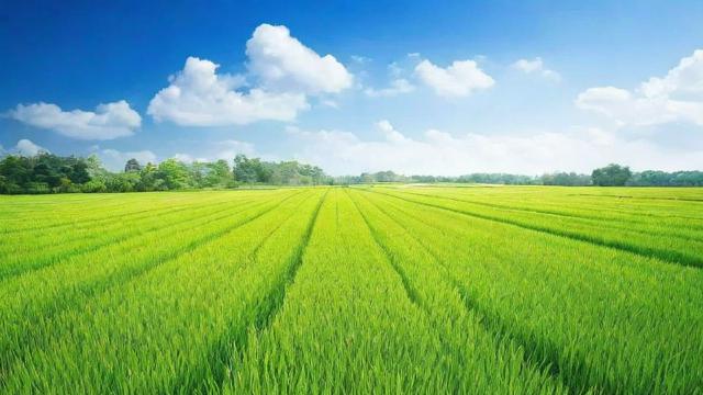 一亩地多少米:全面解析换算方法与实际应用技巧 第3张 一亩地多少米:全面解析换算方法与实际应用技巧 第3张
