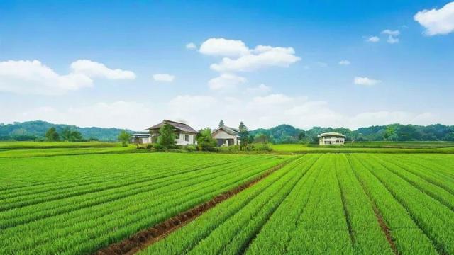 一亩地是多少平方米及在农业与房地产中的实际应用详解