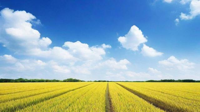 一亩地多少平方：全面解析亩与平方米的换算及实际应用
