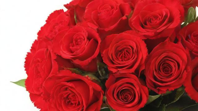 代表爱情的花：解读玫瑰、康乃馨等经典花卉背后的文化与意义