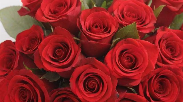 一束玫瑰花多少钱：价格影响因素及购买技巧全解析
