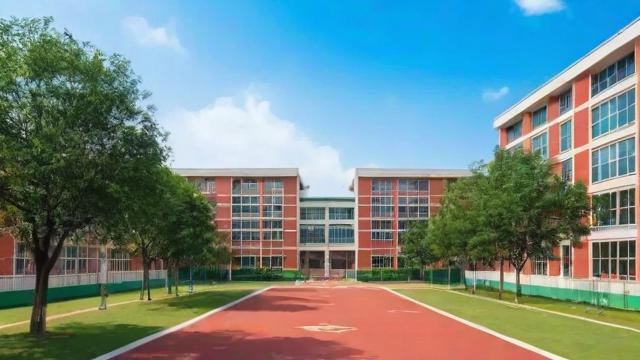 五老村小学:优质教育与深厚文化底蕴的完美结合 第2张 五老村小学:优质教育与深厚文化底蕴的完美结合 第2张