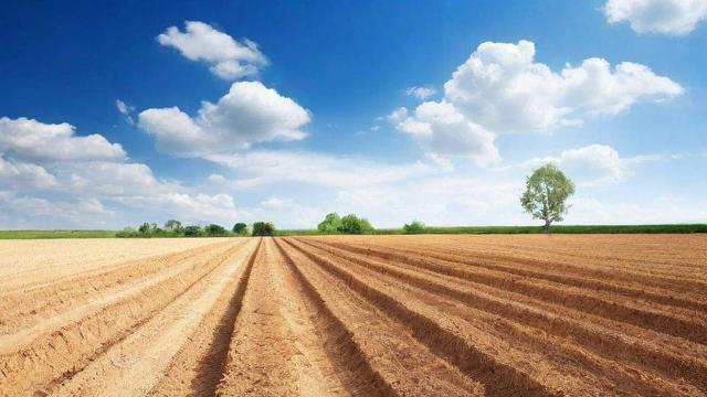 地皮多少钱一平方?全面解析土地单价影响因素与查询方法 第2张 地皮多少钱一平方?全面解析土地单价影响因素与查询方法 第2张