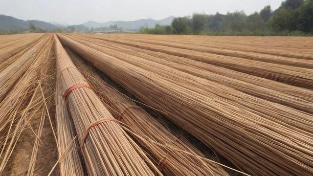钢筋多少钱一斤？2024最新价格行情、换算方法与采购建议全解析