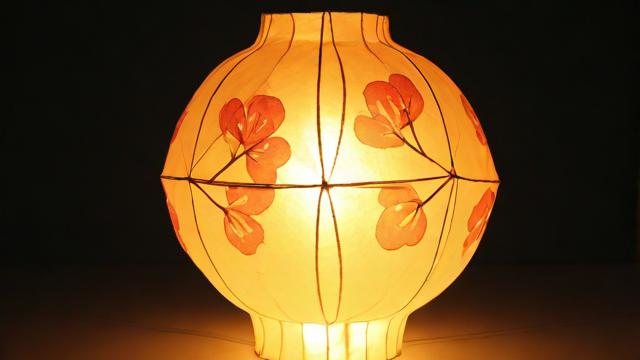 如何做花灯?从材料选择到创意设计的完整手工教程 第3张 如何做花灯?从材料选择到创意设计的完整手工教程 第3张