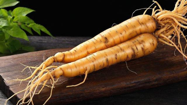 长白山鲜人参的功效与食用方法:增强免疫力、抗疲劳、抗氧化全解析 第3张 长白山鲜人参的功效与食用方法:增强免疫力、抗疲劳、抗氧化全解析 第3张