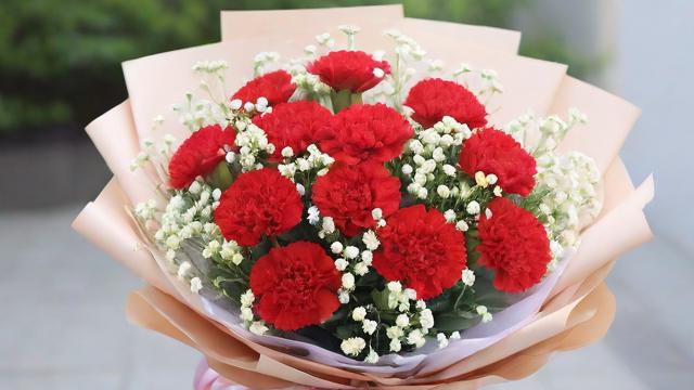 送女朋友什么花最浪漫?玫瑰、康乃馨、满天星的含义与搭配技巧 第3张 送女朋友什么花最浪漫?玫瑰、康乃馨、满天星的含义与搭配技巧 第3张