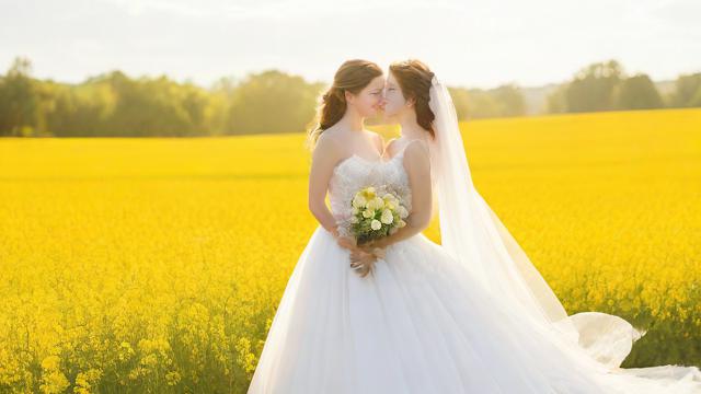 算日子结婚全攻略:如何选择黄历吉日与注意事项 第2张 算日子结婚全攻略:如何选择黄历吉日与注意事项 第2张