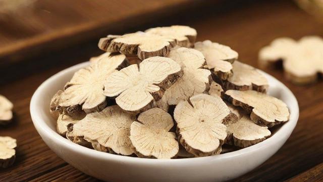 白术是什么及其药用价值和食用方法全面解析