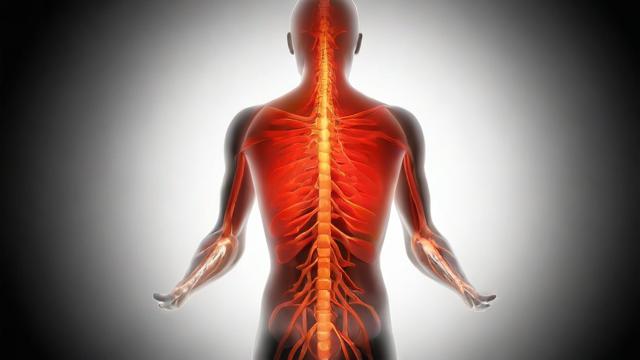 全面解读健康的含义:身体、心理与社会适应的多维度分析 第2张 全面解读健康的含义:身体、心理与社会适应的多维度分析 第2张