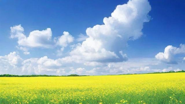 征兆是什么意思：全面解析征兆的起源、表现形式与实际应用