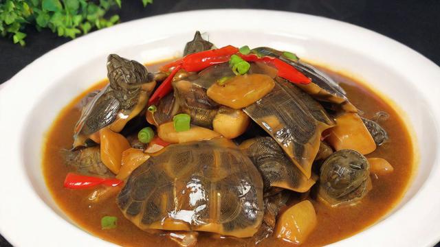 乌龟怎么做好吃？教你做出美味又健康的乌龟佳肴  第2张