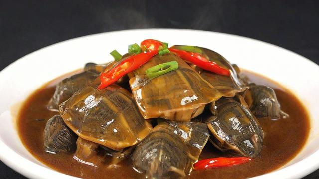 乌龟怎么做好吃？教你做出美味又健康的乌龟佳肴  第3张