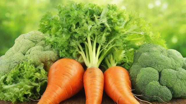 天然的意思及作用:揭秘天然成分对健康与生活的深远影响 第3张 天然的意思及作用:揭秘天然成分对健康与生活的深远影响 第3张
