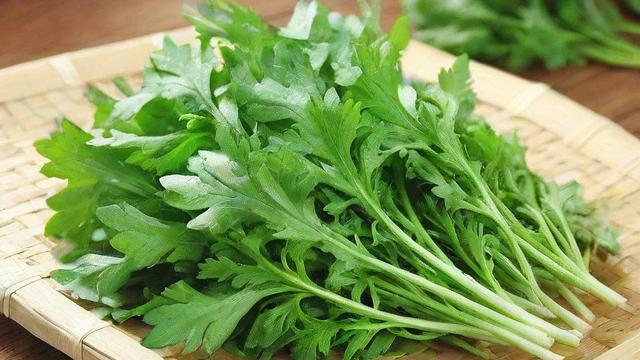 茵陈是什么及其功效作用全面解析
