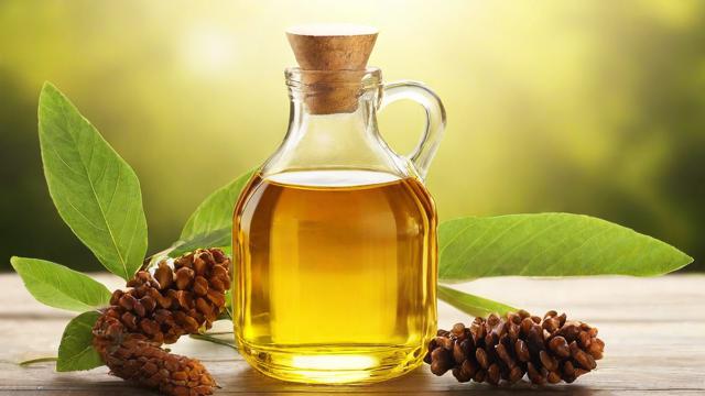 桐油有毒吗?全面解析桐油毒性及安全使用方法 第2张 桐油有毒吗?全面解析桐油毒性及安全使用方法 第2张