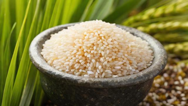 麦饭石是什么及其在健康、农业和环保中的广泛应用 第3张 麦饭石是什么及其在健康、农业和环保中的广泛应用 第3张