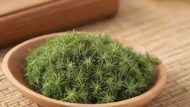 小茴香是什么?全面解析小茴香的定义、用途与健康价值 第4张 小茴香是什么?全面解析小茴香的定义、用途与健康价值 第4张