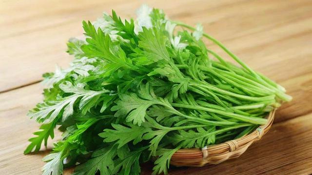 艾蒿是什么?全面解析这种传统草本植物的功效与日常应用 第2张 艾蒿是什么?全面解析这种传统草本植物的功效与日常应用 第2张