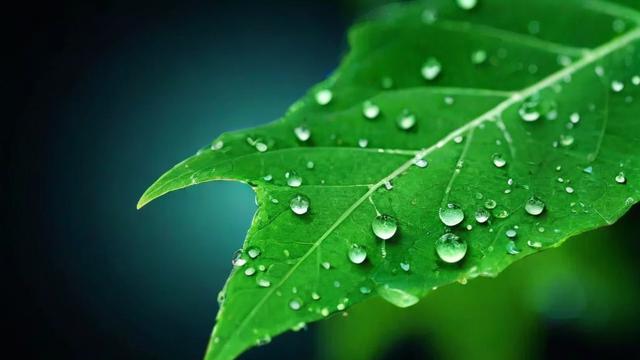 湿度多少正常：四季湿度标准与健康影响全面解析