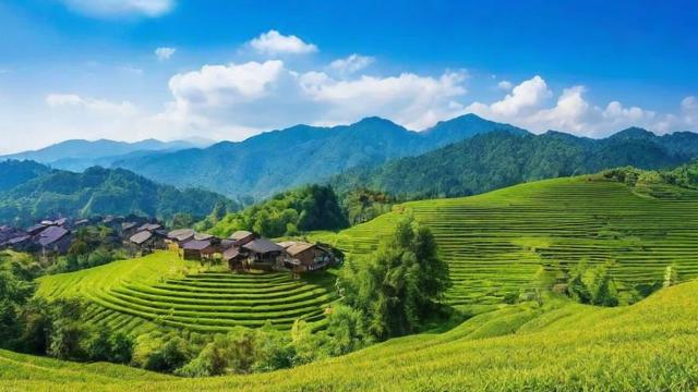 一片的意思全面解析:从语言学到文化内涵的深度探讨 第3张 一片的意思全面解析:从语言学到文化内涵的深度探讨 第3张