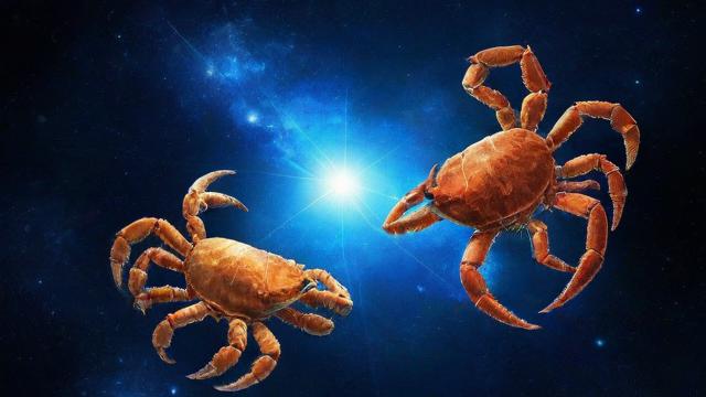 天蝎座金牛座：揭秘两大星座间的情感吸引力与相处之道