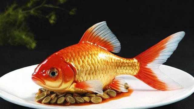 发财鱼图片种类与挑选技巧,打造家居好运氛围 第2张 发财鱼图片种类与挑选技巧,打造家居好运氛围 第2张
