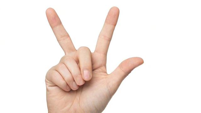 中指代表什么:从生理结构到文化象征的全面解析 第4张 中指代表什么:从生理结构到文化象征的全面解析 第4张