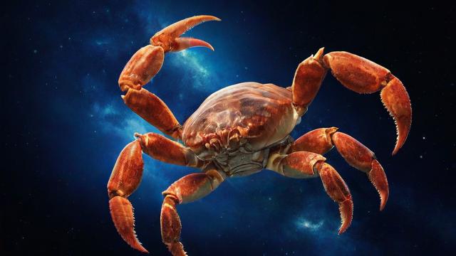 天蝎座是什么星座?全面解析天蝎座的性格、爱情与运势 第3张 天蝎座是什么星座?全面解析天蝎座的性格、爱情与运势 第3张