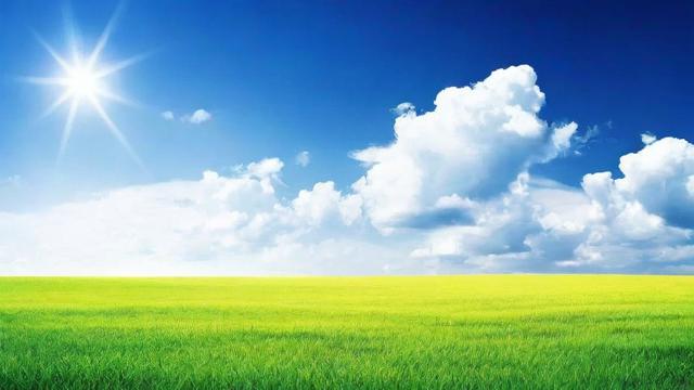 什么什么什么独:核心功能解析与高效使用指南 第3张 什么什么什么独:核心功能解析与高效使用指南 第3张
