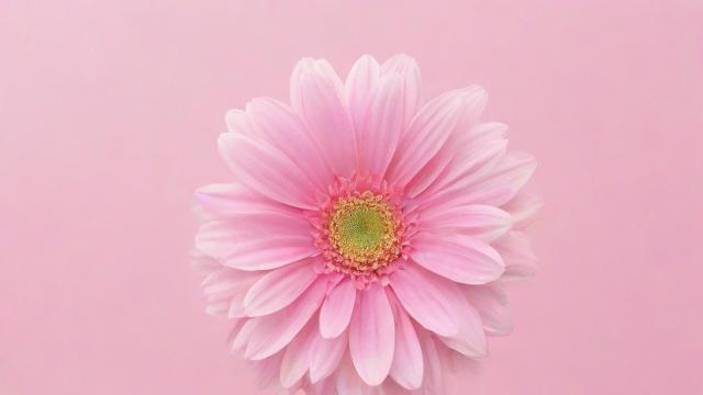 揭秘哪个生肖最好:从性格到运势全面解析十二生肖 第2张 揭秘哪个生肖最好:从性格到运势全面解析十二生肖 第2张