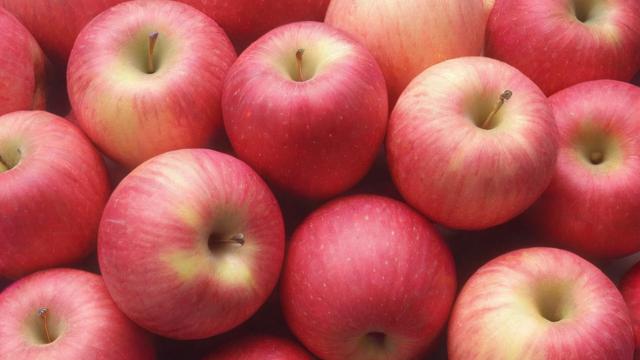 苹果有几种品种：全球苹果种类大揭秘及多样性的重要性  第3张