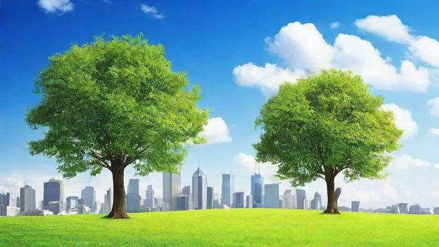 树木的作用：美化城市、净化空气、保护生态的全方位解析