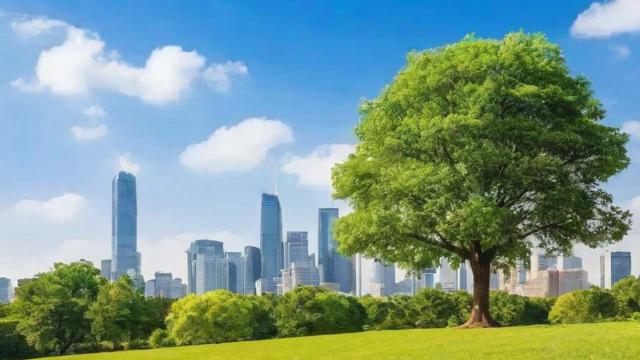 树木的作用:美化城市、净化空气、保护生态的全方位解析 第2张 树木的作用:美化城市、净化空气、保护生态的全方位解析 第2张