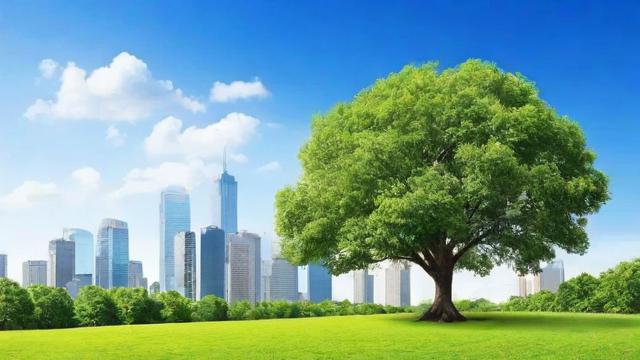 树木的作用:美化城市、净化空气、保护生态的全方位解析 第3张 树木的作用:美化城市、净化空气、保护生态的全方位解析 第3张