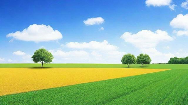 土地计算公式详解:掌握不同形状土地面积计算技巧与实际应用 第3张 土地计算公式详解:掌握不同形状土地面积计算技巧与实际应用 第3张