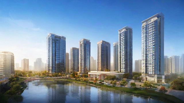 上海哪几个区：全面解析各区特色与发展定位